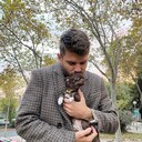 ���������� ������, ���� ������� �����, 41 ���, ������������ ��� ����� � ���������, c�������� ���������