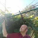 ���������� ������, ���� ������� ���������, 46 ���, ������������ ��� ������, ����� � ���������, c�������� ���������, ���������