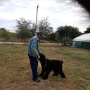 ���������� ������-��-����, ���� ������� ���������, 53 ����, ������������ ��� ������, ����� � ���������, c�������� ���������