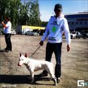 ���������� ������, ���� ������� Nikc, 36 ���, ������������ ��� ������, ����� � ���������, c�������� ���������, ���������