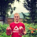 ���������� �����-���������, ���� ������� ����, 28 ���, ������������ ��� ������, ����� � ���������, c�������� ���������