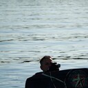 ���������� ������, ���� ������� ���������, 35 ���, ������������ ��� ������, ����� � ���������