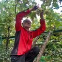 ���������� �������, ���� ������� Zaza, 51 ���, ������������ ��� ������, ����� � ���������