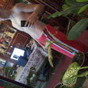  ,   , 32 ,   ,   , c 