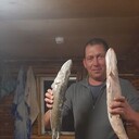 ���������� ���������, ���� ������� ������, 40 ���, ������������ ��� ������, ����� � ���������