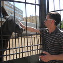 ���������� ������, ���� ������� �����, 43 ����, ������������ ��� ������