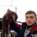  ,   , 29 ,   c , 