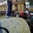 ���������� ������, ���� ������� Gev, 37 ���, ������������ ��� ������, ����� � ���������, c�������� ���������