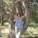 ���������� ���������, ���� ������� �����, 51 ���, ������������ ��� ����� � ���������, c�������� ���������