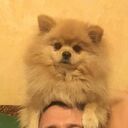 ���������� ���������, ���� ������� ���, 48 ���, ������������ ��� ������, ����� � ���������