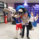 ���������� �����-���������, ���� ������� �������, 35 ���, ������������ ��� ����� � ���������, c�������� ���������