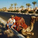 ���������� ���������, ���� ������� �����, 31 ���, ������������ 