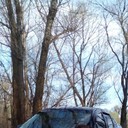 ���������� ��������������, ���� ������� ����, 43 ����, ������������ ��� ����� � ���������, c�������� ���������