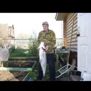  ,   , 59 ,   ,   , c 