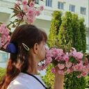 ���������� ����, ���� ������� �����, 40 ���, ������������ ��� ������, ����� � ���������, ���������