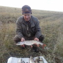 ���������� ��������, ���� ������� ��������, 52 ����, ������������ ��� ����� � ���������, c�������� ���������