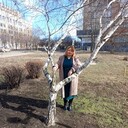 ���������� ������, ���� ������� �������� ���, 40 ���, ������������ ��� ����� � ���������, c�������� ���������, ���������