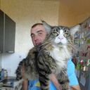 ���������� ������, ���� ������� �����, 37 ���, ������������ ��� ������, ����� � ���������, c�������� ���������