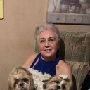 ���������� ����, ���� ������� ������, 74 ����, ������������ ��� c�������� ���������