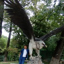  ,   , 40 ,   