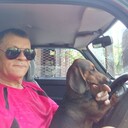  ,   , 59 ,   c , 