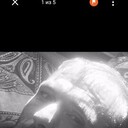 ���������� ������, ���� ������� �����, 43 ����, ������������ ��� ������, ����� � ���������, c�������� ���������