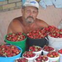  ,   , 73 ,   ,   , c 