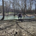 ���������� �����������, ���� ������� �������, 37 ���, ������������ ��� ������, ����� � ���������