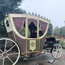 ���������� ������-��-����, ���� ������� ��������, 40 ���, ������������ ��� ������, ����� � ���������