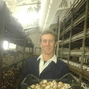 ���������� ������, ���� ������� �������, 47 ���, ������������ ��� ������, ����� � ���������, c�������� ���������