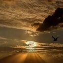 ���������� �������, ���� ������� �����, 71 ���, ������������ ��� ������, ����� � ���������