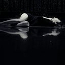 ���������� ������, ���� ������� �����, 35 ���, ������������ ��� ������, ����� � ���������, c�������� ���������