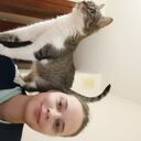  ,   , 29 ,   ,   , 