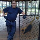  ,   , 43 ,   ,   
