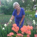  ,   , 68 ,   ,   