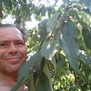 ���������� �������, ���� ������� ����, 45 ���, ������������ ��� ������, ����� � ���������, c�������� ���������