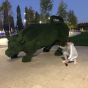 ���������� �����, ���� ������� ����, 44 ����, ������������ ��� ������, ����� � ���������, c�������� ���������