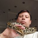 ���������� �������, ���� ������� �����, 35 ���, ������������ ��� ������, ����� � ���������, c�������� ���������, ���������