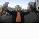 ���������� ���������� �����, ���� ������� �����, 44 ����, ������������ ��� ������, ����� � ���������, c�������� ���������