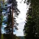 ���������� �����-���������, ���� ������� �������, 45 ���, ������������ ��� ������, ����� � ���������, c�������� ���������