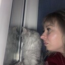  ,   , 31 ,     , c 
