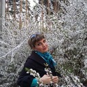 ���������� ������, ���� ������� �������, 52 ����, ������������ ��� ����� � ���������, c�������� ���������