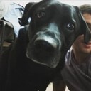 ���������� �����, ���� ������� �����, 28 ���, ������������ ��� ������, ����� � ���������, c�������� ���������