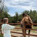 ���������� �����������, ���� ������� �����, 57 ���, ������������ ��� ������, ����� � ���������, c�������� ���������