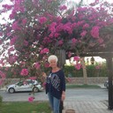  ,   , 75 ,  