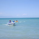 ���������� ������, ���� ������� ������, 49 ���, ������������ ��� ����� � ���������, c�������� ���������