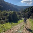  ,   Klaus, 40 ,   ,   