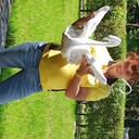  ,   , 50 ,   ,   , c 