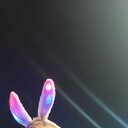 ���������� �����������, ���� ������� �����, 28 ���, ������������ ��� ������, ����� � ���������, c�������� ���������, ���������