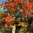 ���������� ������, ���� ������� ����, 41 ���, ������������ ��� ������, ����� � ���������, c�������� ���������